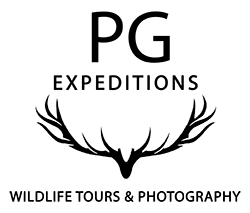 PG Expeditions